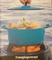 Framg&aring;ngsrecept-  Svenska idrottsstj&auml;rnor om sina &auml;lsklingsr&auml;tter