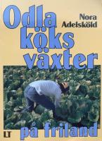 Odla k&ouml;ksv&auml;xter p&aring; friland