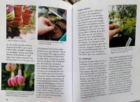 F&ouml;r&ouml;kning av tr&auml;dg&aring;rdens alla v&auml;xter