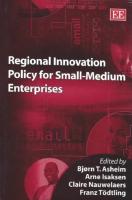 Regional innovation policy for small-medium enterprises
