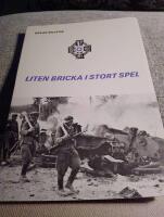 Liten bricka i stort spel