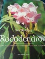 Rododendron - arter, hybrider, samplanteringsv&auml;xter och sk&ouml;tselr&aring;d