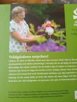 Perenner - skapa med blommor