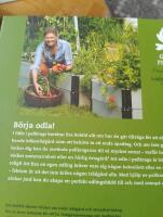 Odla i pallkrage