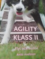 Agility klass II : flyt och nollor