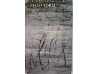Bildstorm