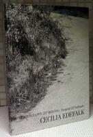 Photography 227 Months / Fotografi 227 m&aring;nader