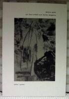 Ett litet titth&aring;l som kallas dagarna