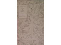 Vil de se mine bj&oslash;rne. Essays