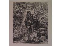 The Shepherd
