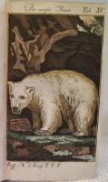Herrn von Buffons Naturgeschichte des vierf&uuml;ssigen Thiere. Teil III-VI.