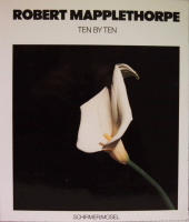 Robert Mapplethorpe : Ten by ten : Photographien
