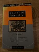 Spaces of identity - Global media, electronic landscapes and cultural boundaries