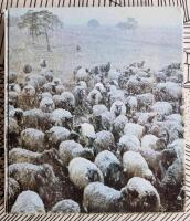 Contemporary textile art Scandinavia