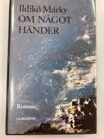 Om n&aring;got h&auml;nder : roman