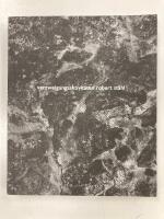 Verzweigungsaktivit&auml;ten