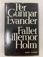 Fallet Lillemor Holm : roman