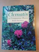 Clematis as Companion Plants