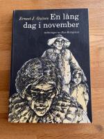 En l&aring;ng dag i november