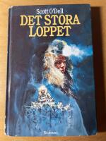 Det stora loppet