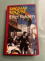 Efter flykten : nutidsroman