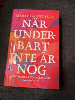 N&auml;r underbart inte &auml;r nog : en medel&aring;ldersroman