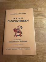 Den lilla &ouml;vningsboken. 101 &ouml;vningar i Modersm&aring;lets Skrivning 