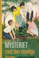 Mysteriet med den osynlige tjuven