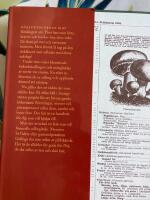 K&ouml;kstr&auml;dg&aring;rden : det gr&ouml;na arvet