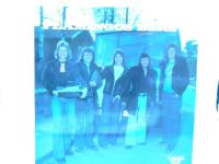 Flamingos B&auml;sta 3