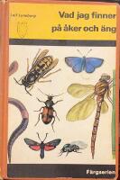 Vad jag finner p&aring; &aring;ker och &auml;ng