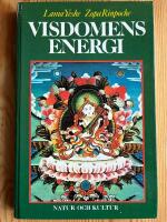 Visdomens energi