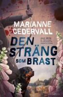 Den str&auml;ng som brast