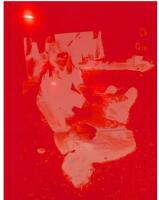 &Ouml;zlem Altin. Prisma