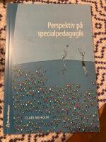 Perspektiv p&aring; specialpedagogik
