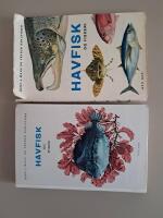 Havfisk