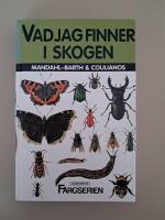 Vad jag finner i skogen