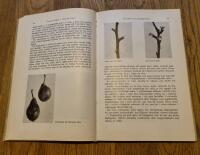 Odling av frukt och b&auml;r 