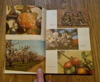 Odling av frukt och b&auml;r 