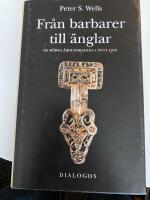 Fr&aring;n barbarer till &auml;nglar : de m&ouml;rka &aring;rhundradena i nytt ljus