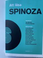 Att l&auml;sa Spinoza