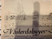 V&auml;sterdalsvyer : motiv fr&aring;n Transtrands, Lima och Malungs socknar