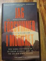 Jag f&ouml;rsvinner i m&ouml;rkret