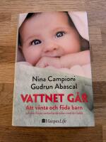 Vattnet g&aring;r : Att v&auml;nta och f&ouml;da barn och den f&ouml;rsta omtumlande tiden med din bebis