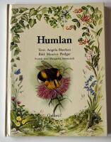 Humlan