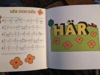 Fem Myror &auml;r Fler &auml;n Fyra Elefanter : s&aring;ngboken (inkl CD)