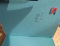 Livet enligt Rosa och en kille som heter Ville