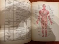 At&eacute;mis et Jiu-Jitsu - Introduction du maitre in&eacute;o-osaki 7me dan