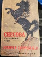 Checoba - comanchernas hingst