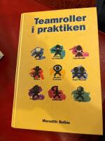 Teamroller i praktiken